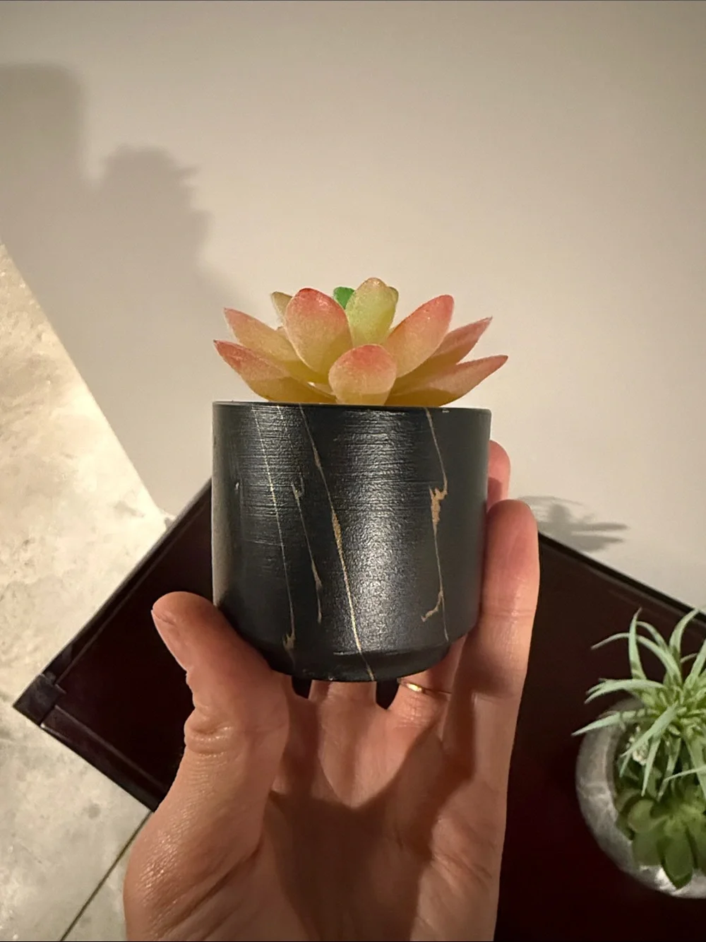 Artificial Succulent Plant in Pink and Green - Home Accents